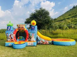 Toy Story Con Alberca De Pelotas 