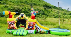 Mickey Park Con Alberca De Pelotas 